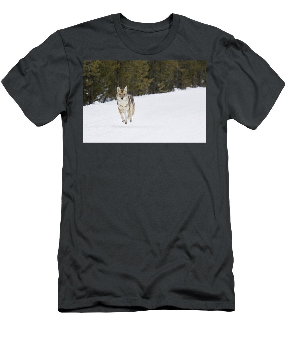 Coyote Yellowstone Isabella Smedley T-Shirt