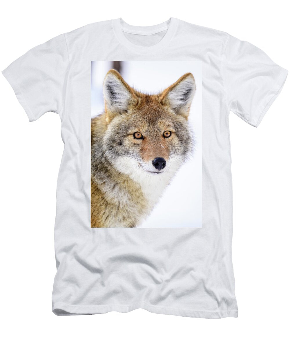 Coyote Yellowstone National Park Wyoming USA Nick Garbutt Natureplcom T-Shirt
