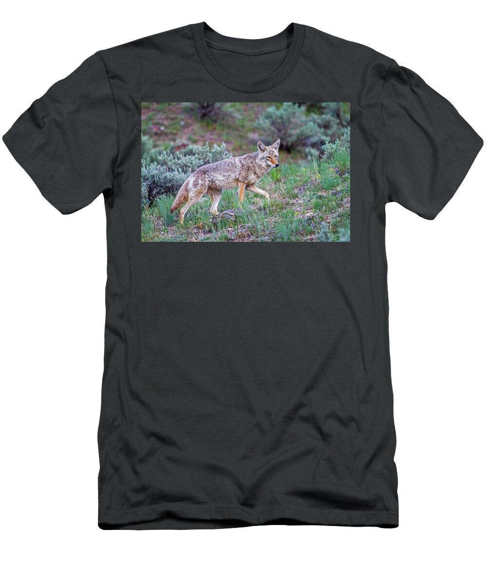 Coyote Yellowstone National Parkjc34 Jim Coda T-Shirt