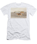 Coyotes Against Sand Dunes Bahia Magdalena Baja Claudio Contreras Natureplcom T-Shirt