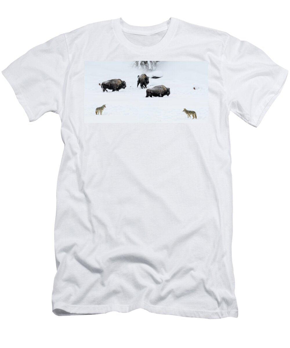 Coyotes and Bison in Deep Snow Madison River Valley Nick Garbutt Natureplcom T-Shirt
