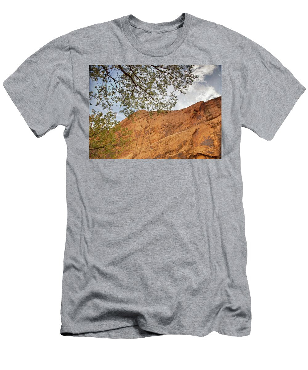 Coyotes and Clouds Kunal Mehra T-Shirt