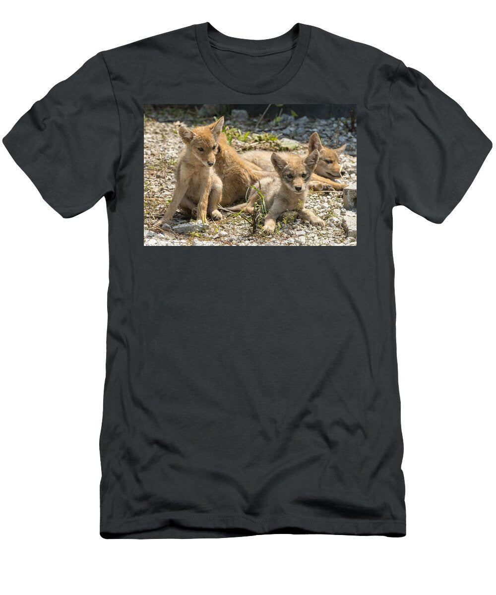 Coyotes Les Classics T-Shirt