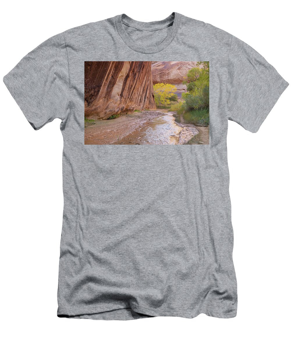 Coyotes Mysteries Kunal Mehra T-Shirt