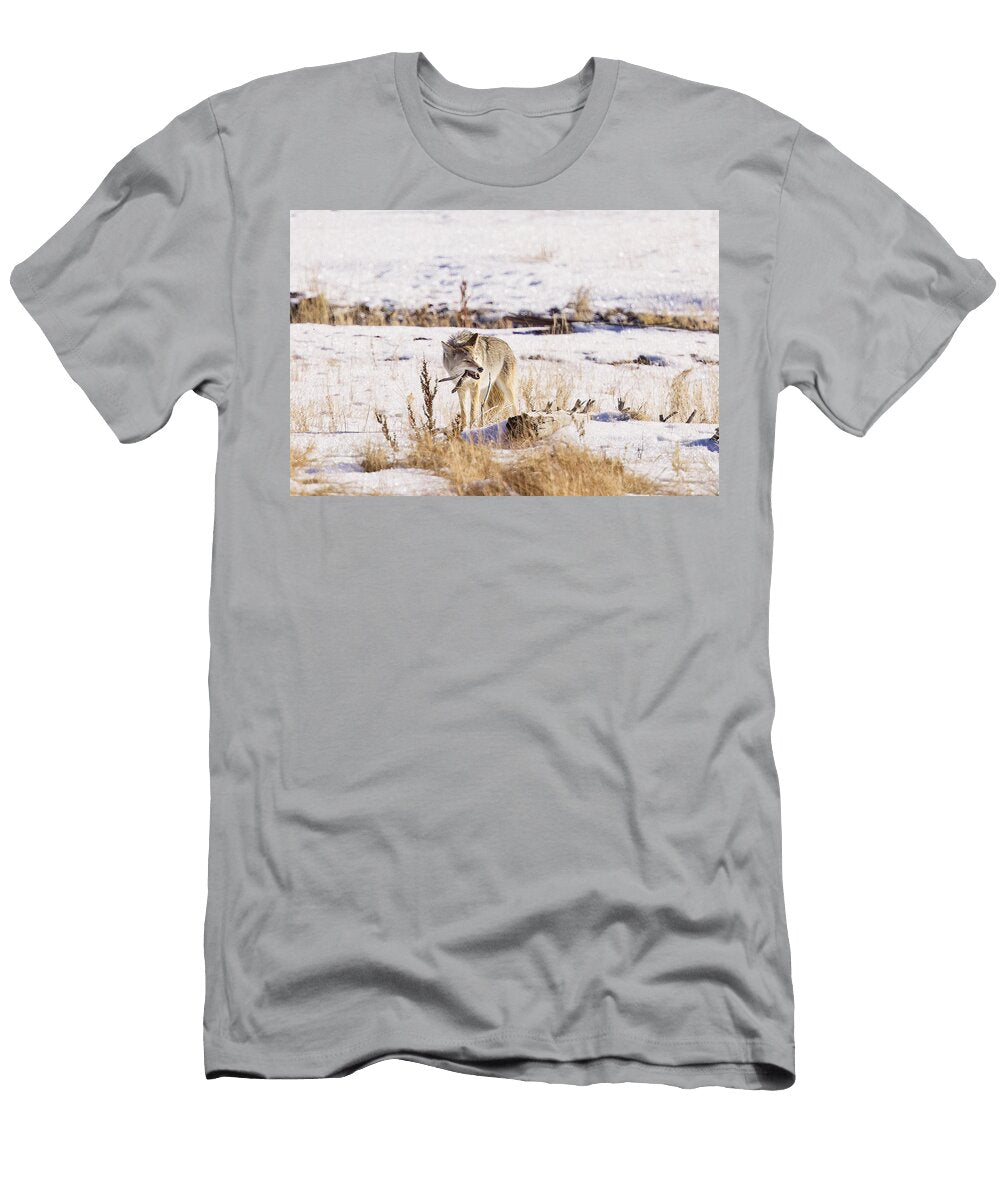 Coyotes Winter Meal Isabella Smedley T-Shirt