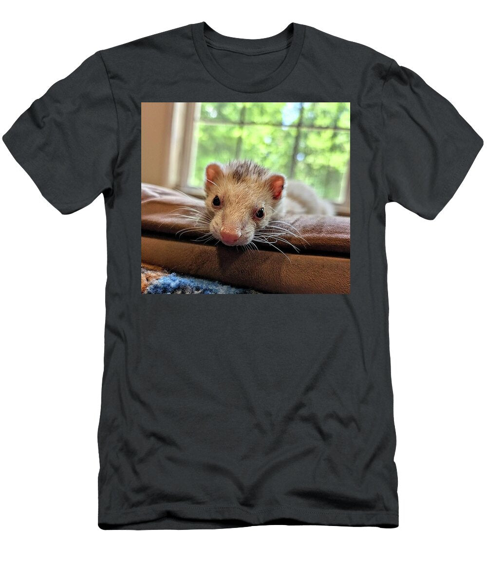 Cozy Ferret By the Window Darrylyn Mathews T-Shirt