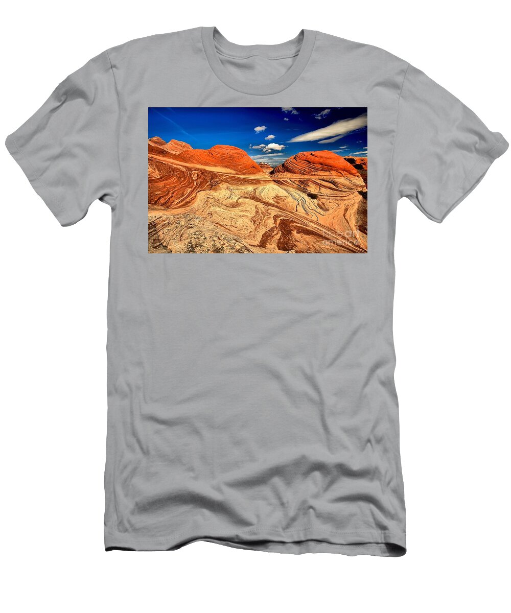 Crazy Coyote Swirls Adam Jewell T-Shirt