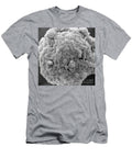 Cumulus Cells David M Phillips T-Shirt