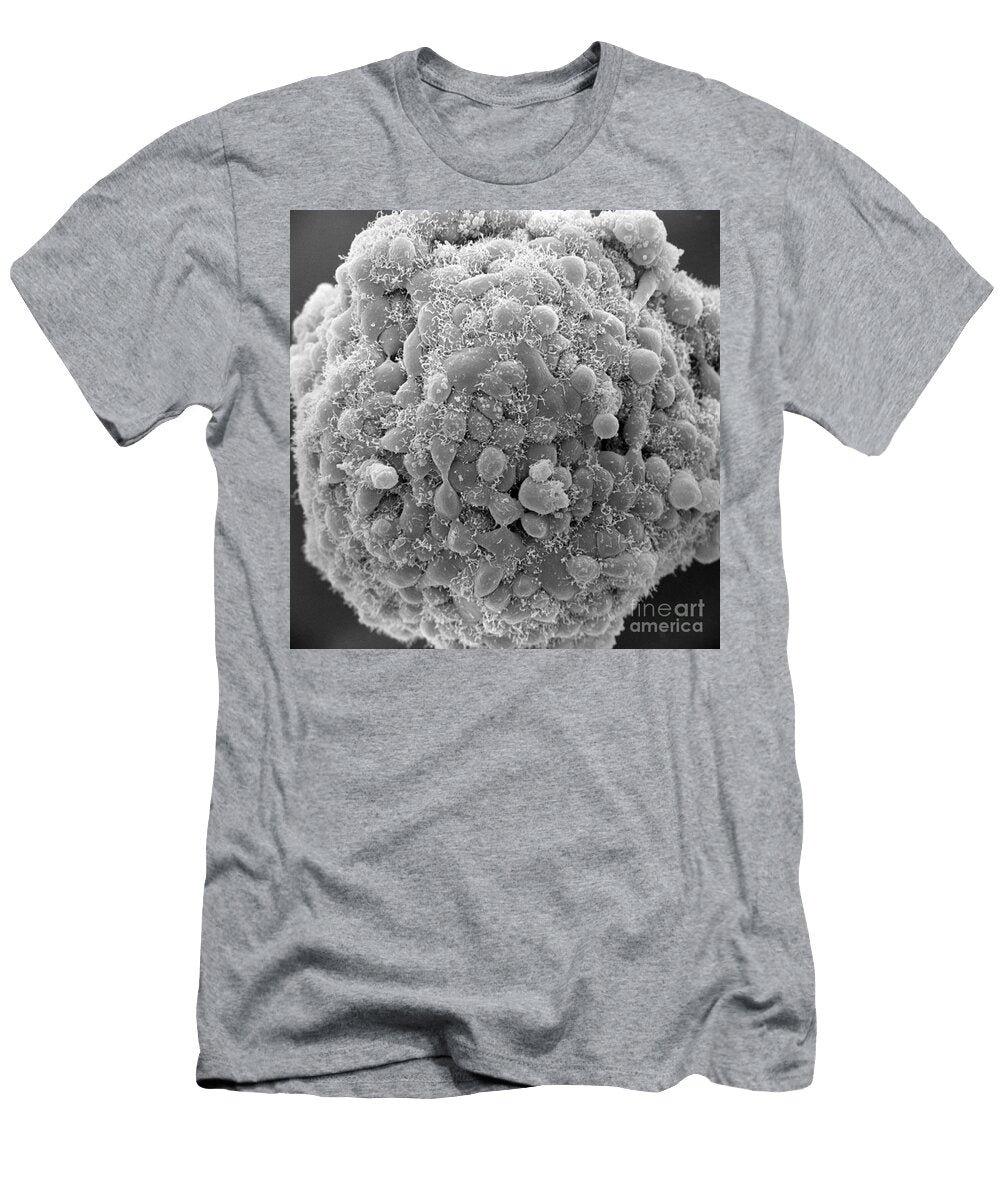 Cumulus Cells David M Phillips T-Shirt