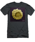 Cumulus Oophorus Cells David M Phillips T-Shirt