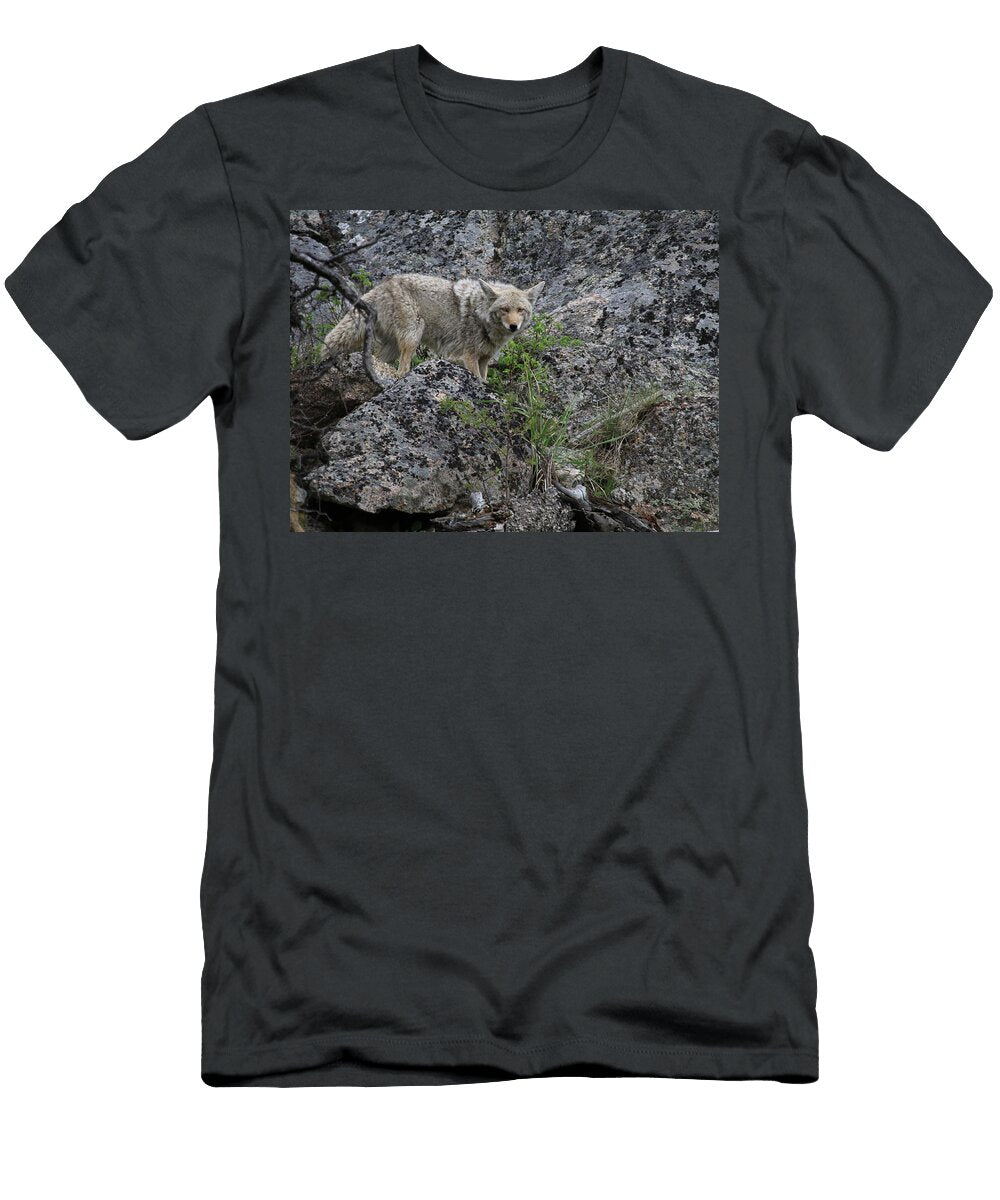 Cunning Coyote in Yellowstone Lori Deiter T-Shirt
