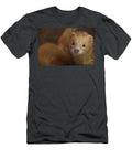 Curious and Inquisitive Orange Ferret Face Up Close Dejavu Designs T-Shirt