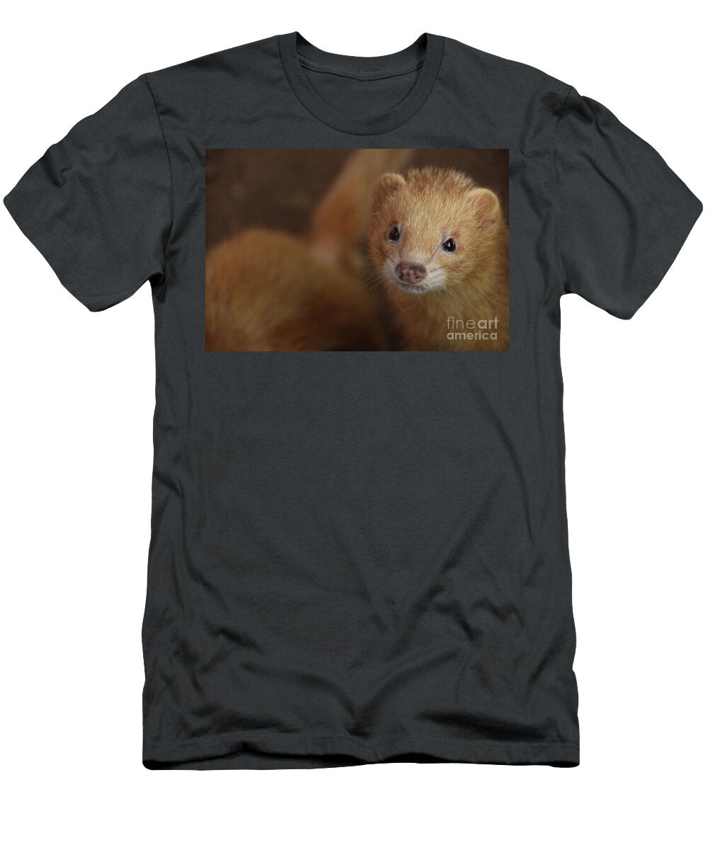Curious and Inquisitive Orange Ferret Face Up Close Dejavu Designs T-Shirt