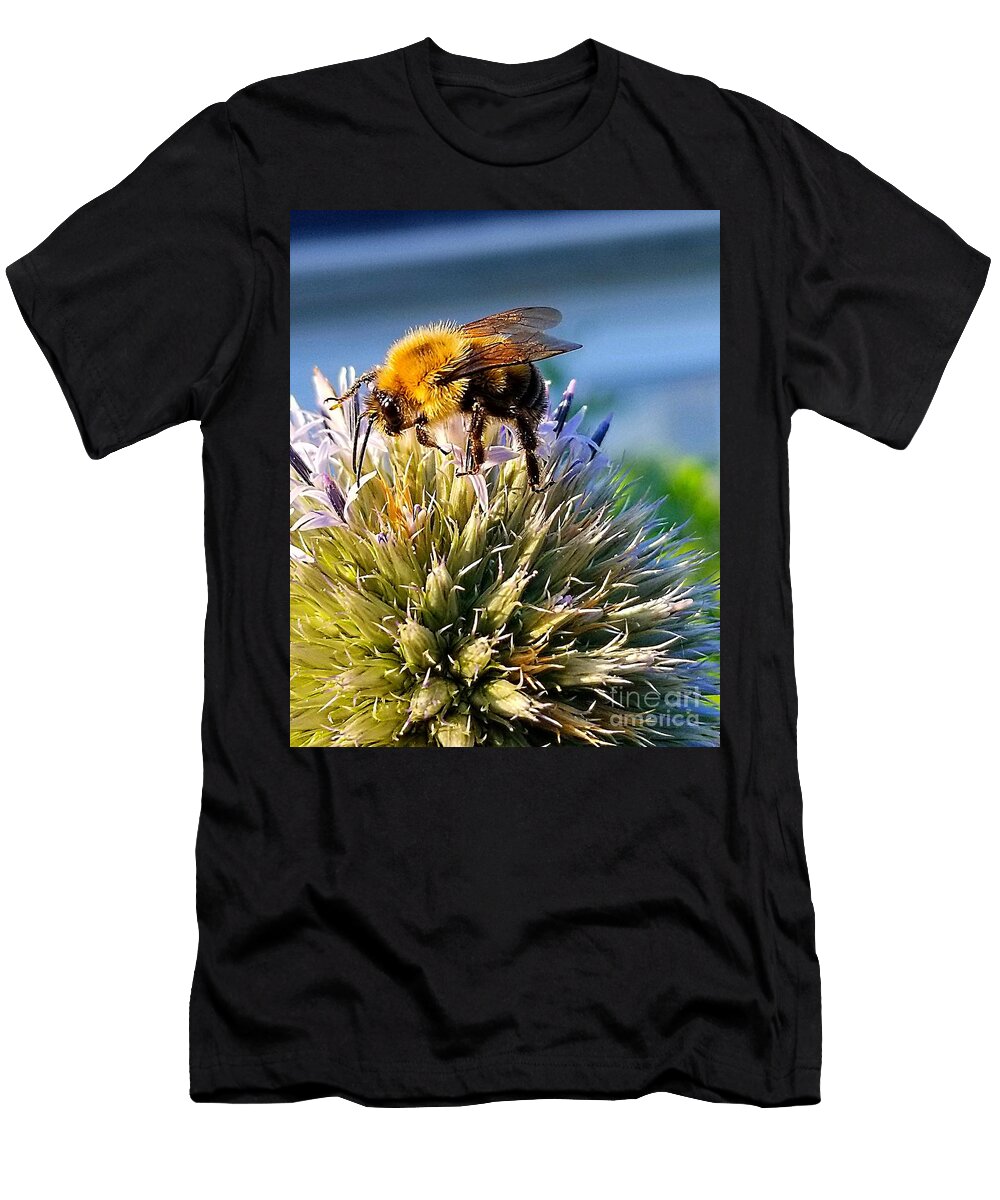 Curious Bee Michael Graham T-Shirt