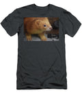 Curious Cinnamon Ferret with a Wiggly Nose Dejavu Designs T-Shirt