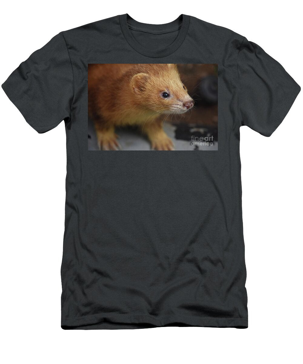Curious Cinnamon Ferret with a Wiggly Nose Dejavu Designs T-Shirt