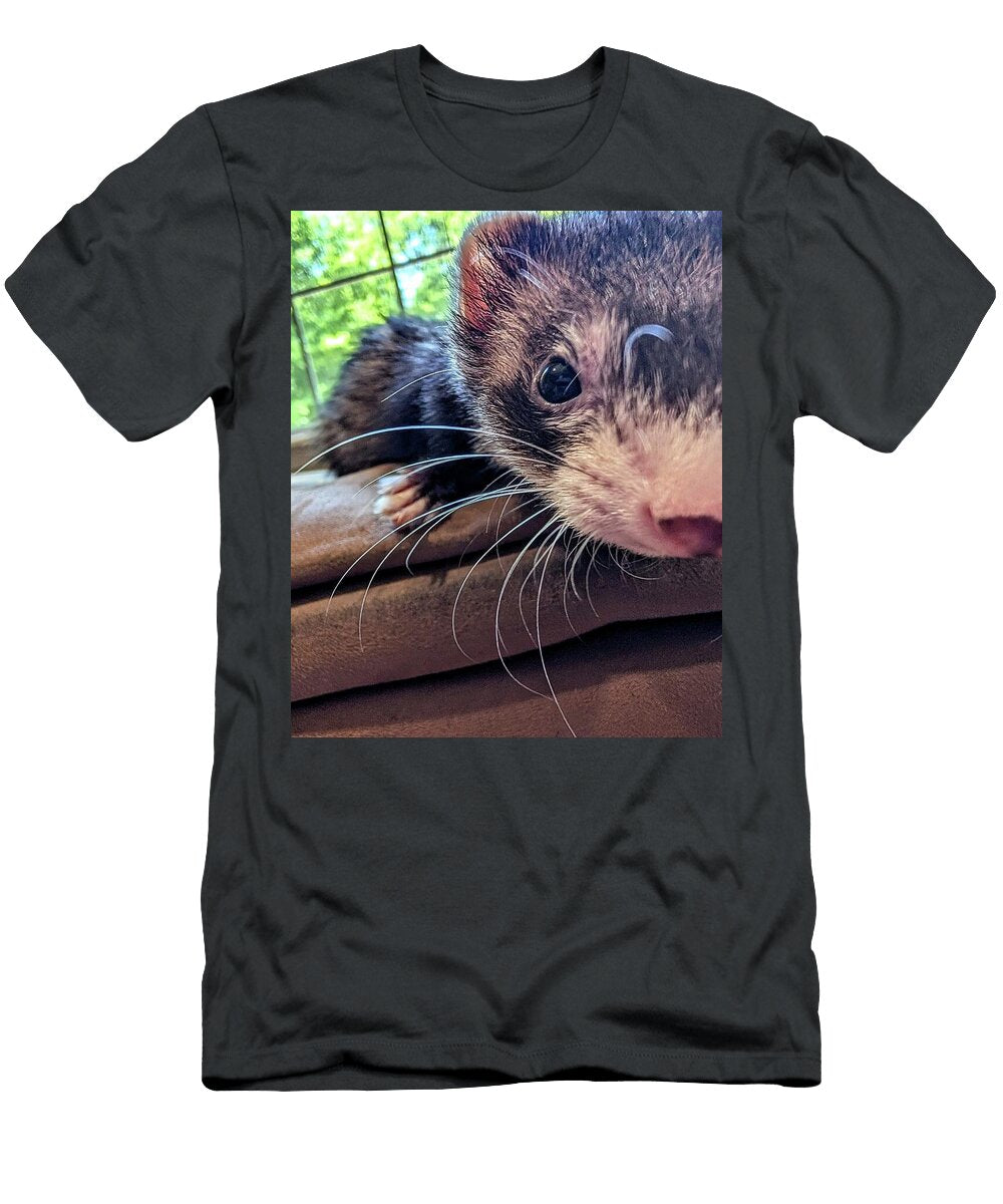 Curious Ferret in Cozy Surroundings Darrylyn Mathews T-Shirt