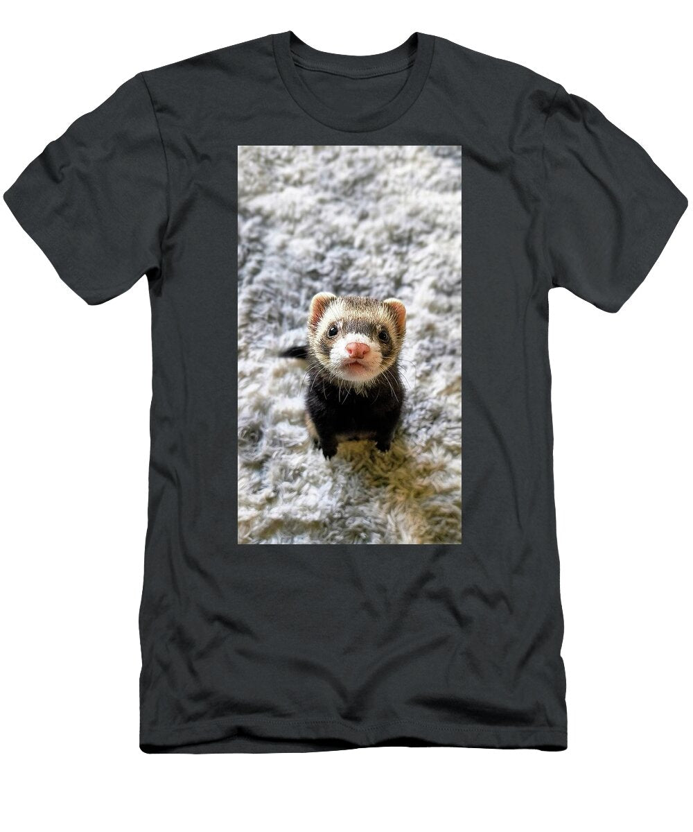 Curious Ferret on Soft Rug Amber Mcintyre T-Shirt