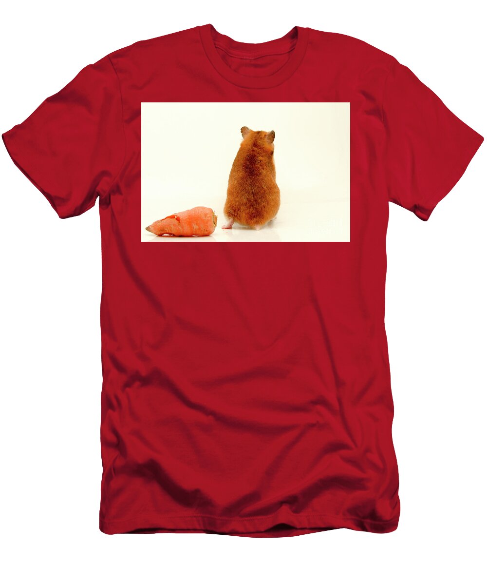 Curious Hamster 1 Yedidya Yos Mizrachi T-Shirt