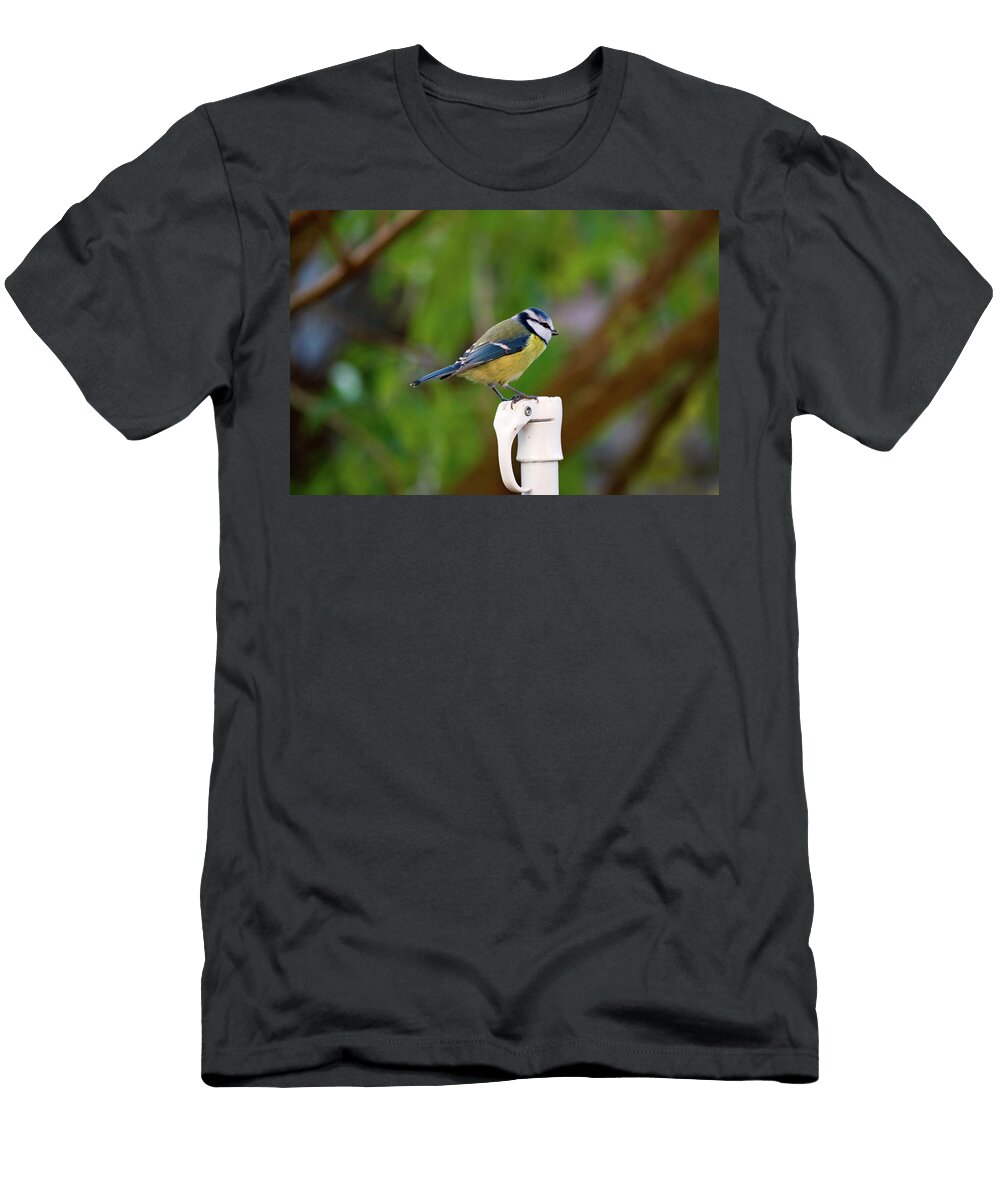 Cute Cyanistes Caeruleus Bluetit Bird Perched on Pole Johan Ferret T-Shirt