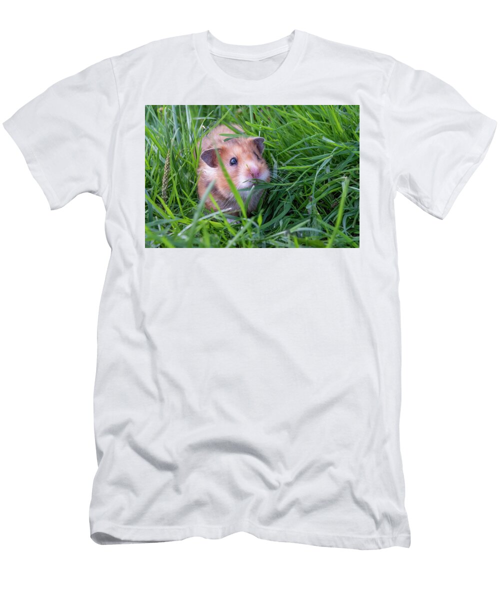 Cute Furry Hamster in a Grassy Field John Twynam T-Shirt