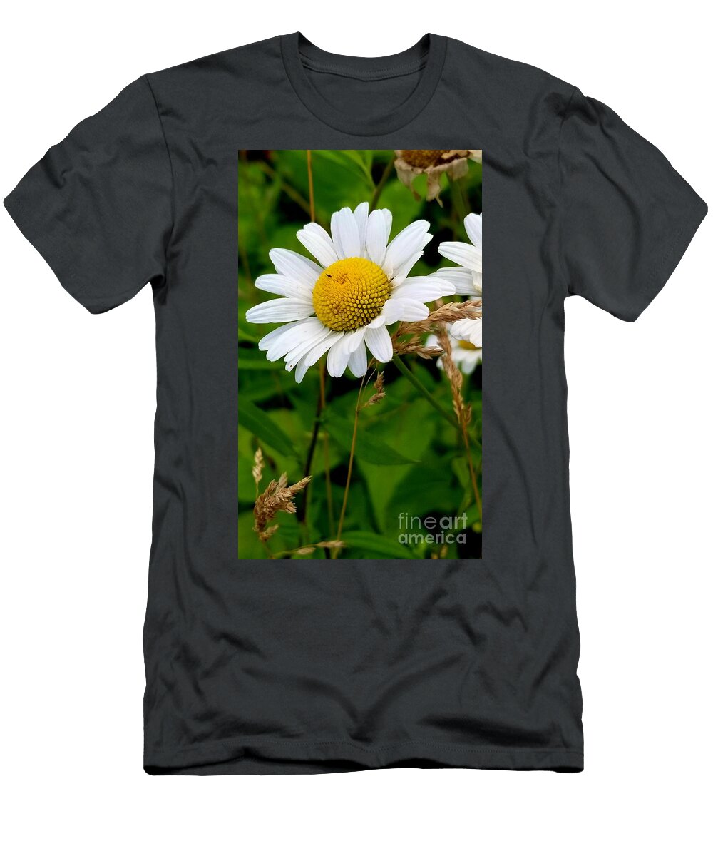 Daisy Michael Graham T-Shirt