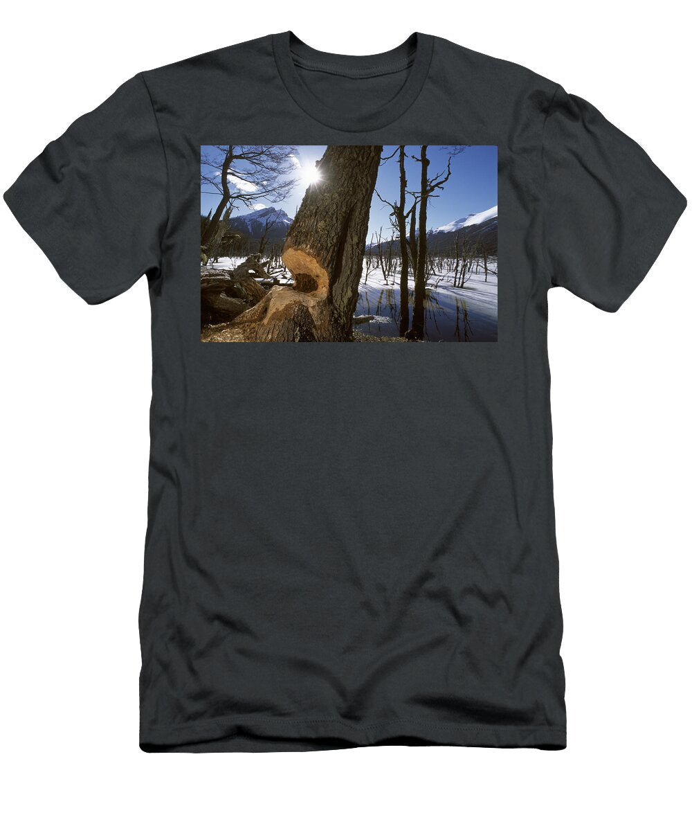 Damage Left By the Beaver an Invasive Kevin Moloney T-Shirt