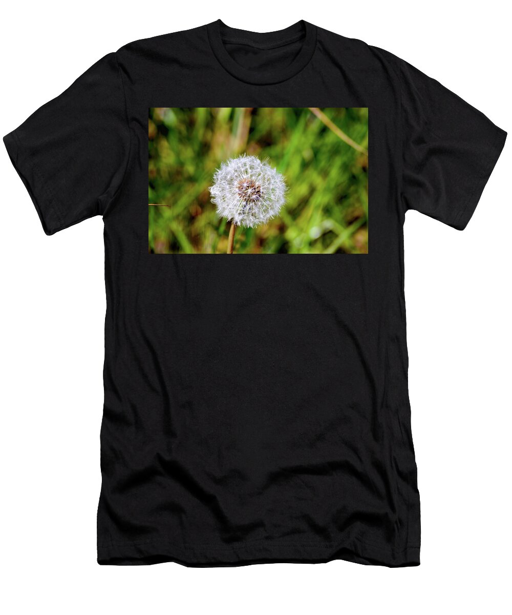 Dandelion Taraxacum Officinale Johan Ferret T-Shirt