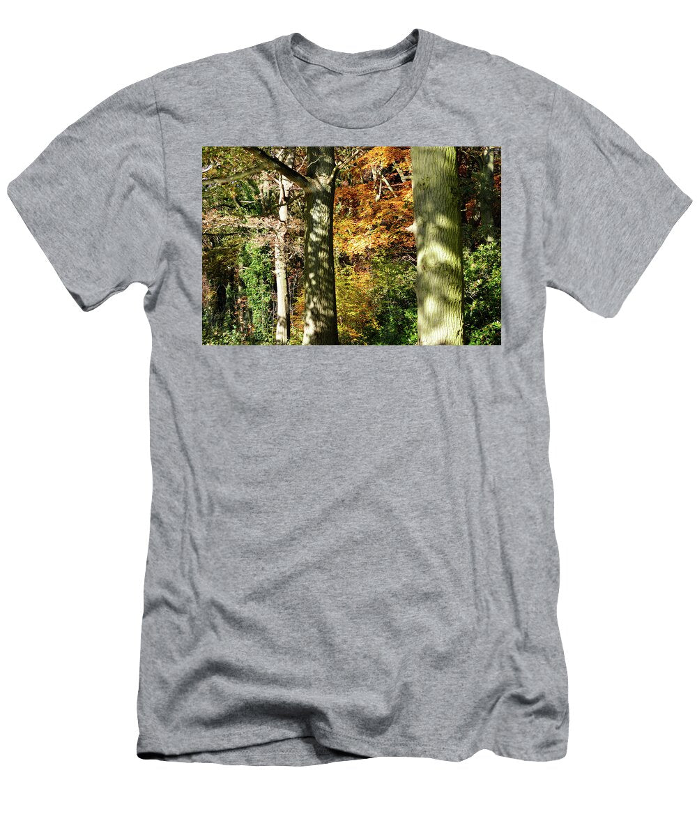 Dappled Sunlight on Trees in an Autumn Forest Johan Ferret T-Shirt