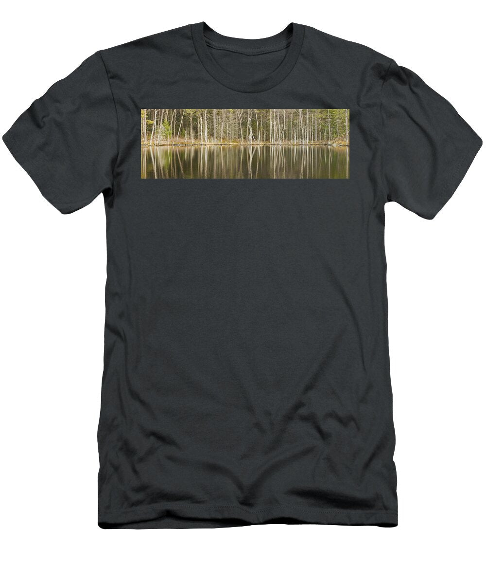 Dead Trees Reflecting on a Maine Beaver Pond Keith Webber Jr T-Shirt