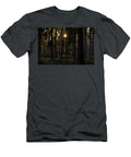 Dense Hardwood Tree Forest with Sunlight Johan Ferret T-Shirt