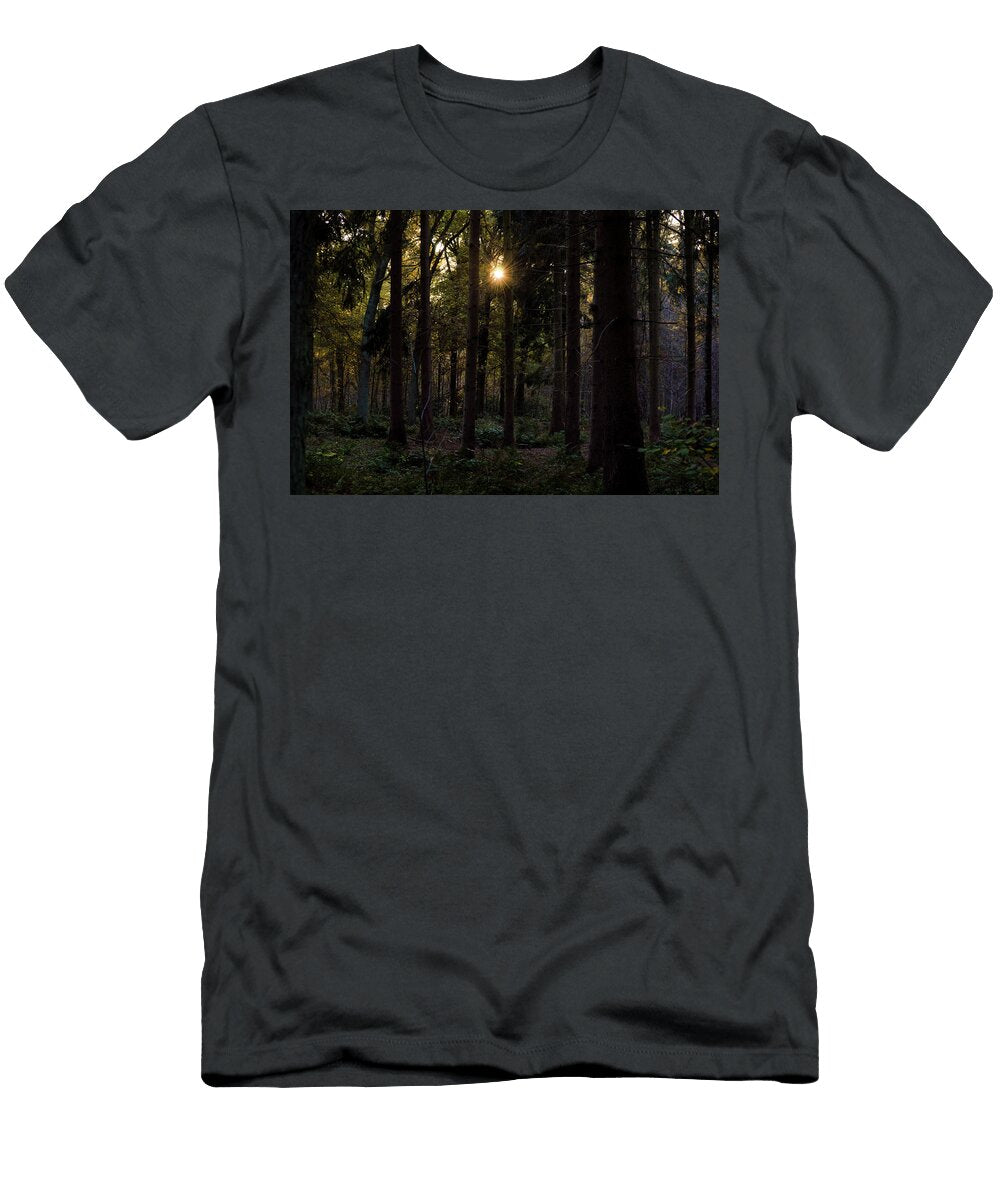 Dense Hardwood Tree Forest with Sunlight Johan Ferret T-Shirt