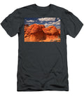 Desert Brain Rocks Adam Jewell T-Shirt