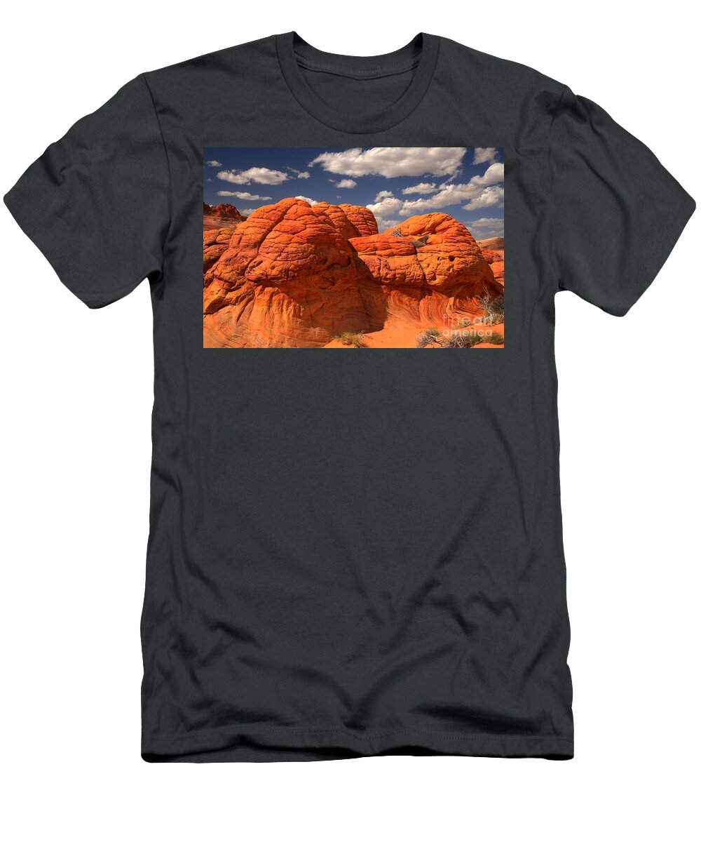 Desert Brain Rocks Adam Jewell T-Shirt