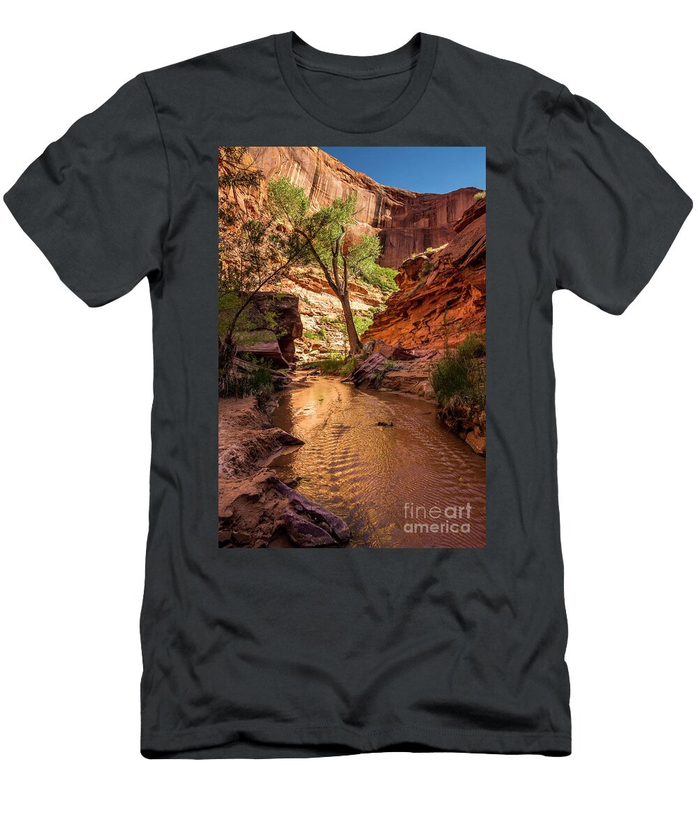 Desert Canyon Paradise Coyote Gulch Utah Gary Whitton T-Shirt