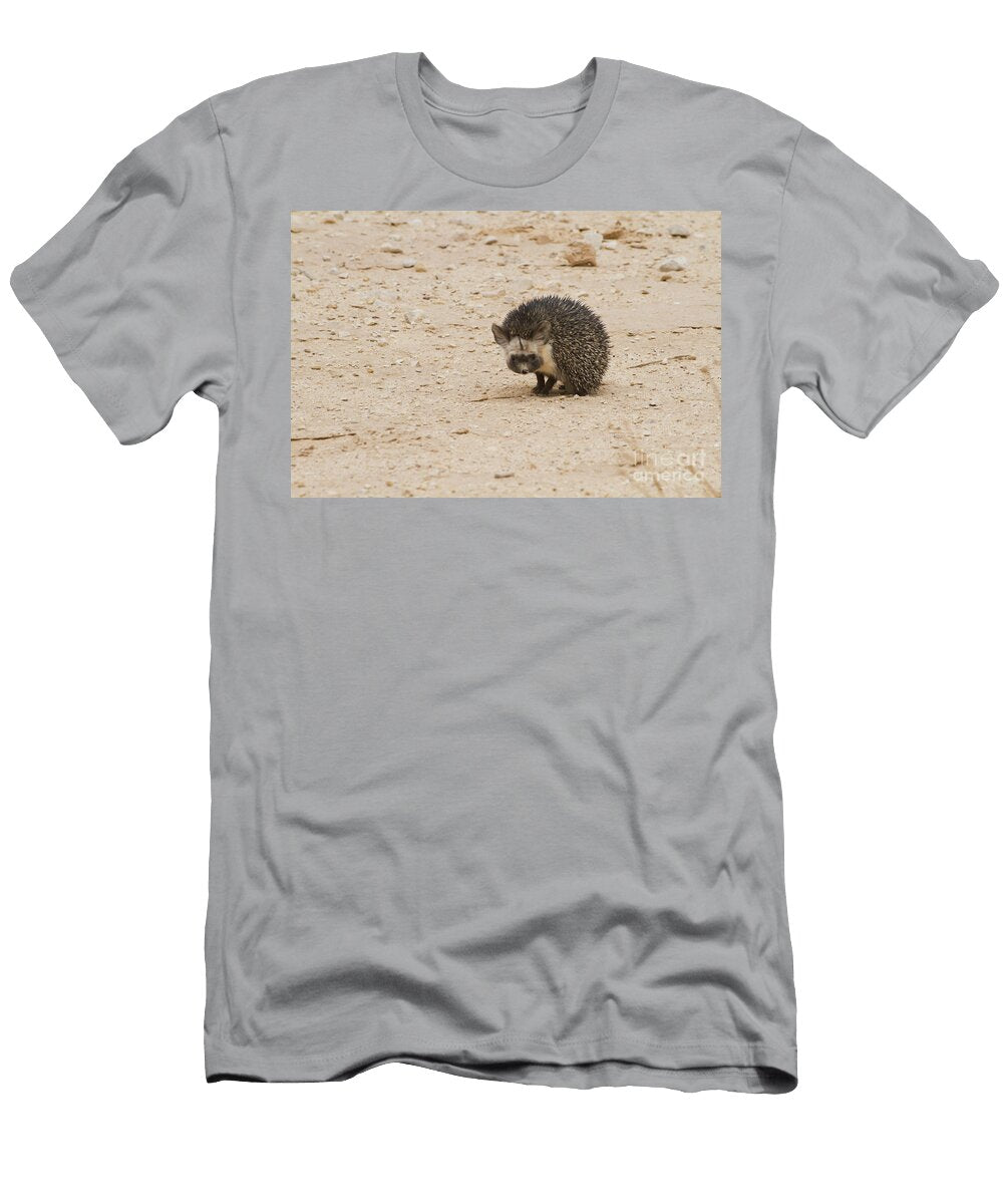 Desert Hedgehog Paraechinus Aethiopicus Eyal Bartov T-Shirt