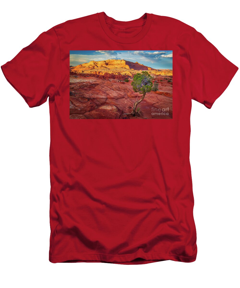 Desert Juniper Inge Johnsson T-Shirt