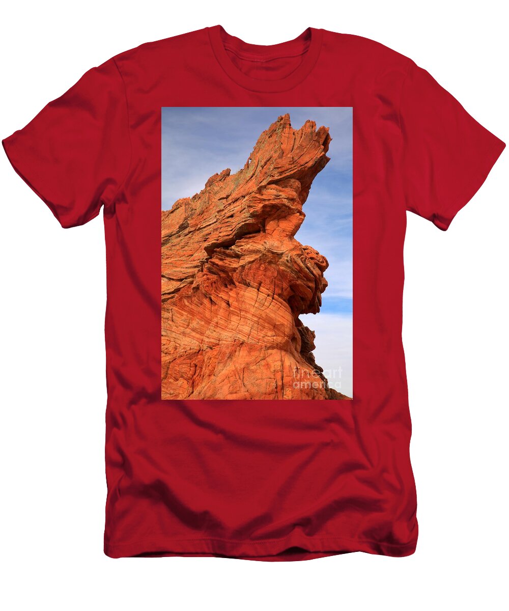 Desert Lion Profile Adam Jewell T-Shirt