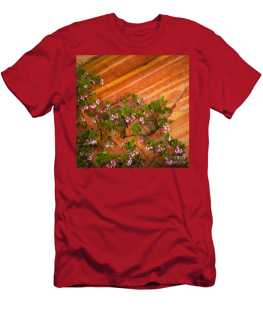 Desert Manzanita Inge Johnsson T-Shirt