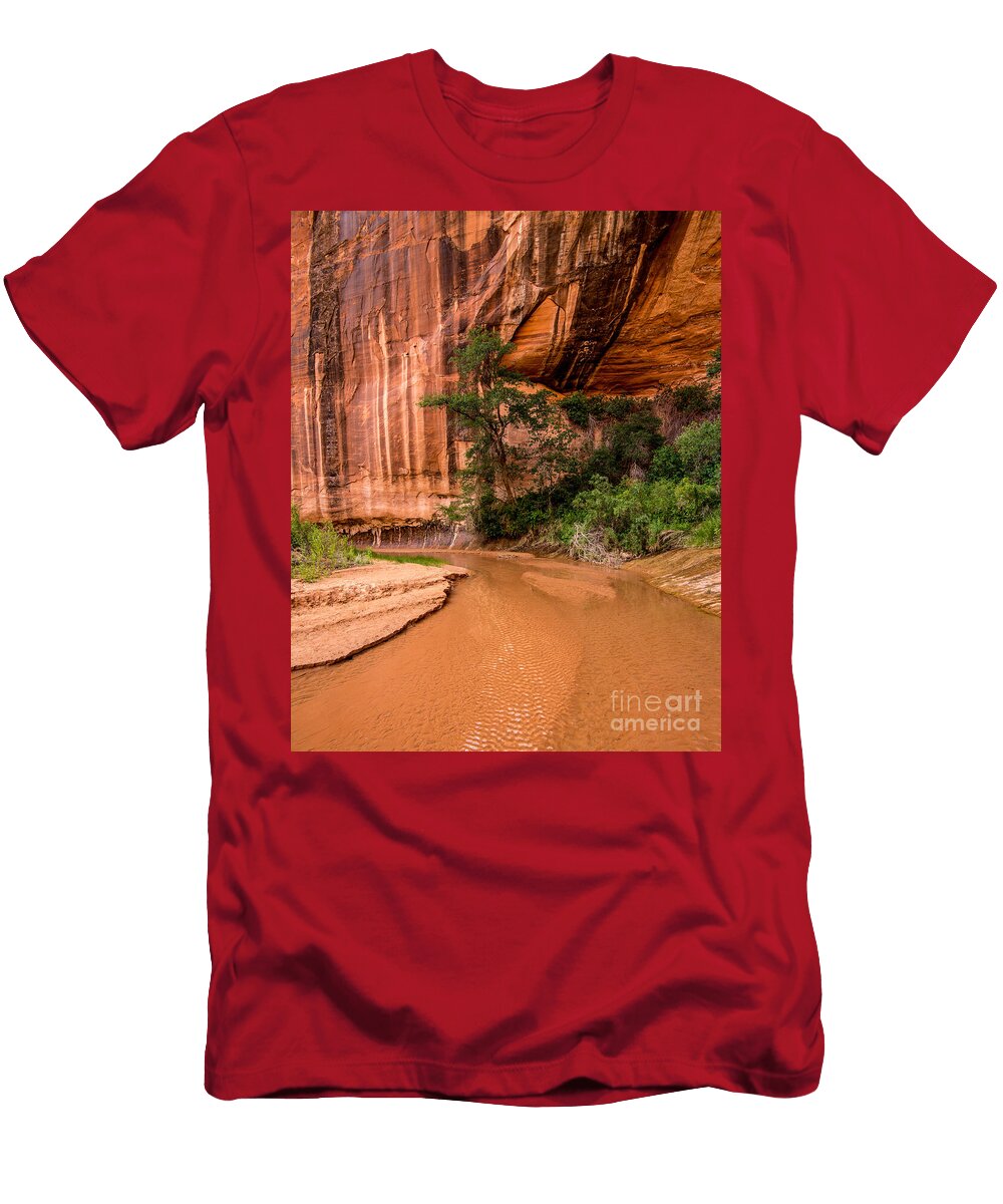 Desert Oasis Coyote Gulch Utah Gary Whitton T-Shirt