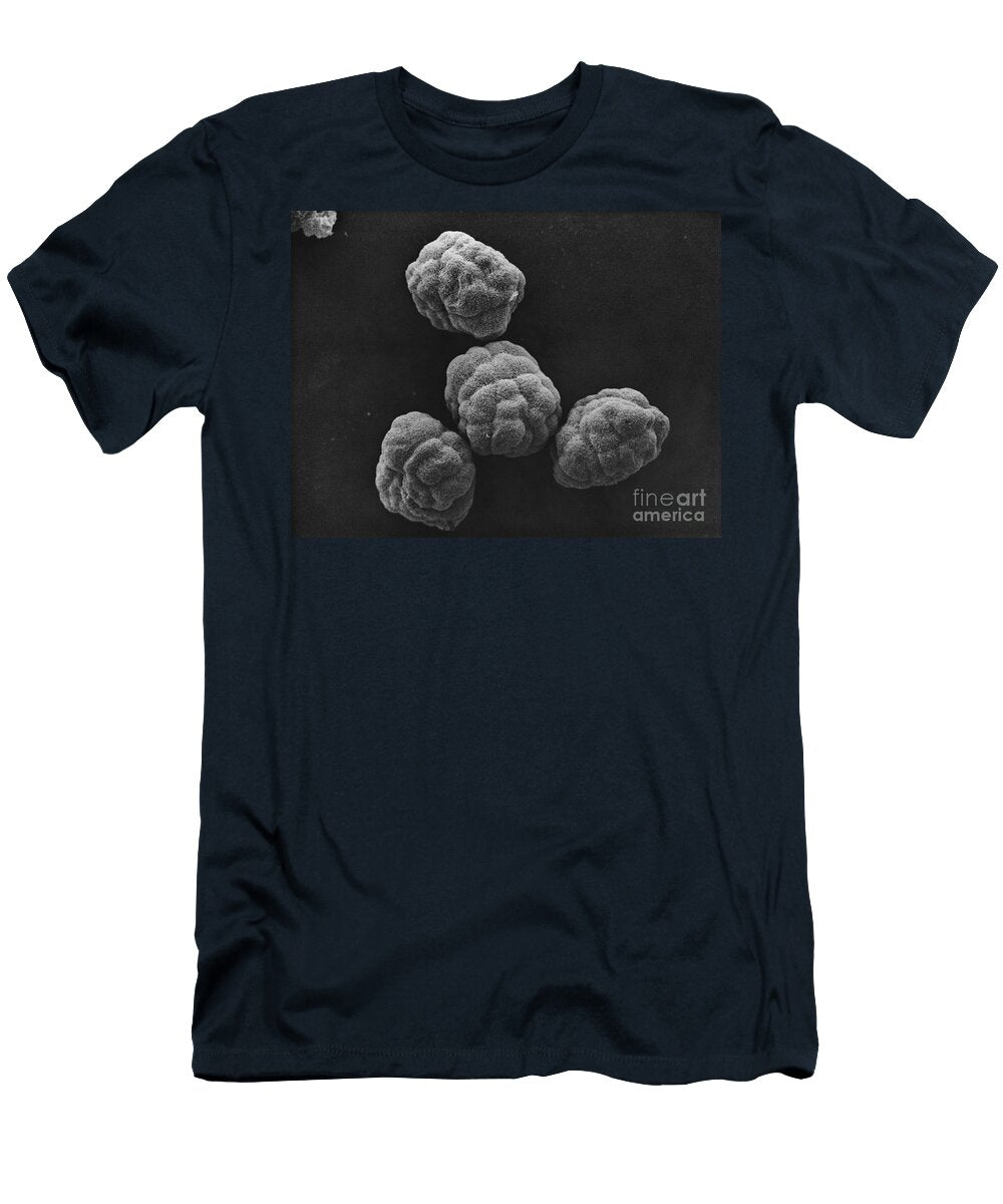 Developing Hamster Embryos Sem David M Phillips T-Shirt