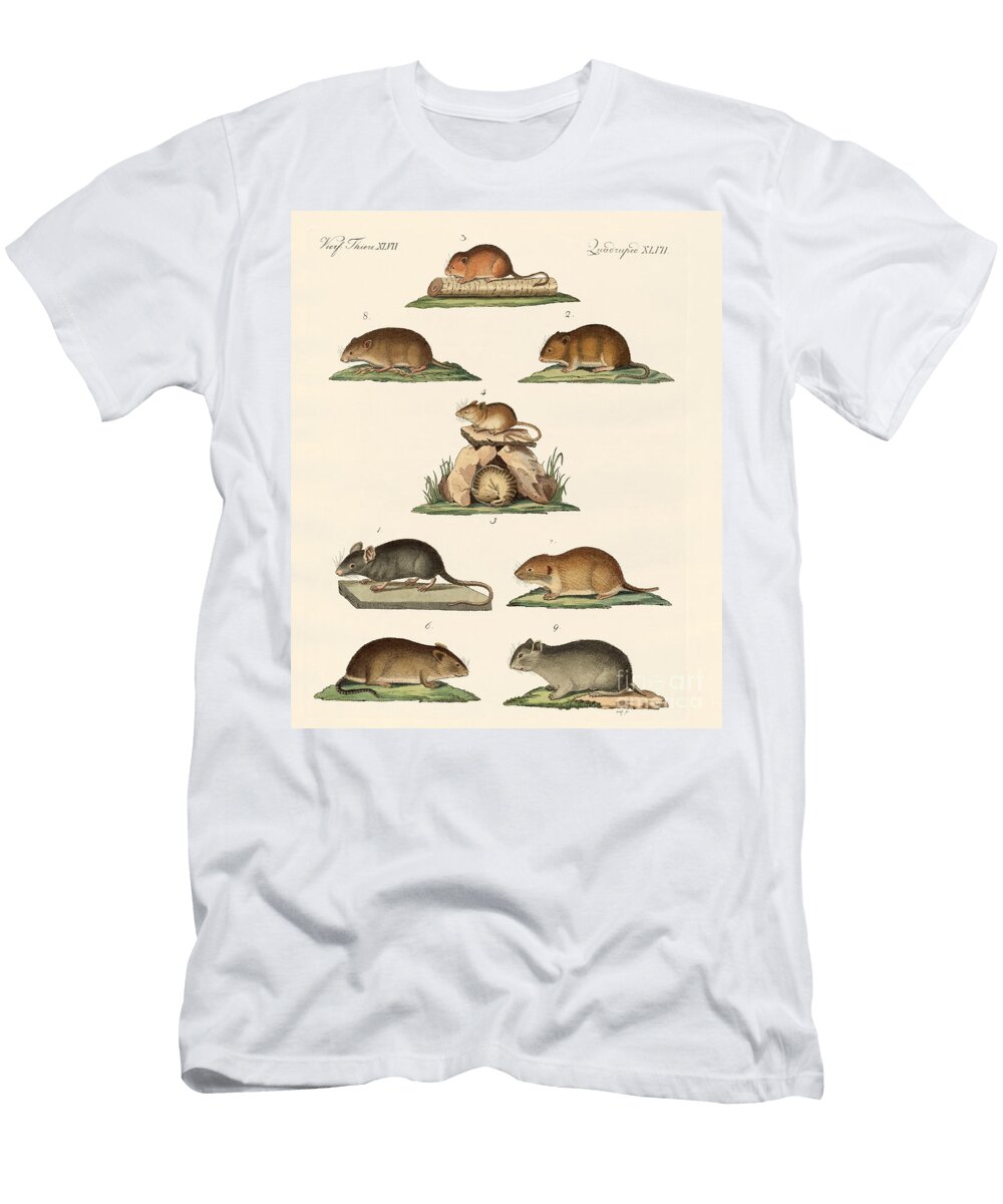 Different Kinds of Mice German School T-Shirt