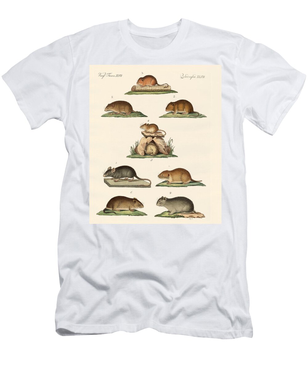 Different Kinds of Mice Splendid Art Prints T-Shirt