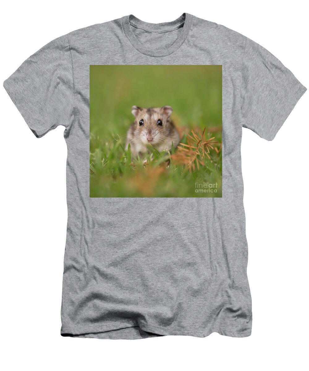 Djungarian Hamster Phodopus Sungorus 3 Alon Meir T-Shirt