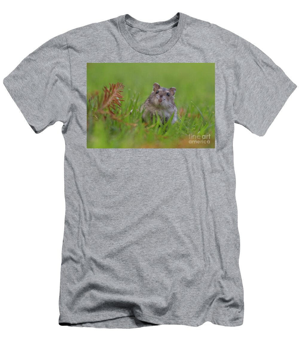 Djungarian Hamster Phodopus Sungorus Q4 Alon Meir T-Shirt