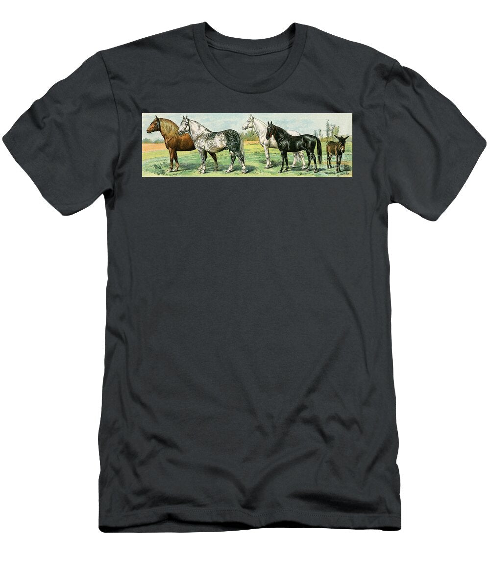 Domestic Animals Horse Breeds and a Donkey Lithograph From 19th Century Illustration American School T-Shirt