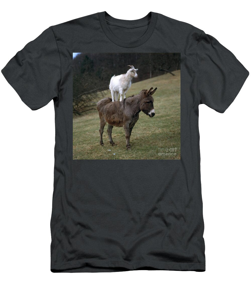 Donkey and Goat Hans Reinhard T-Shirt