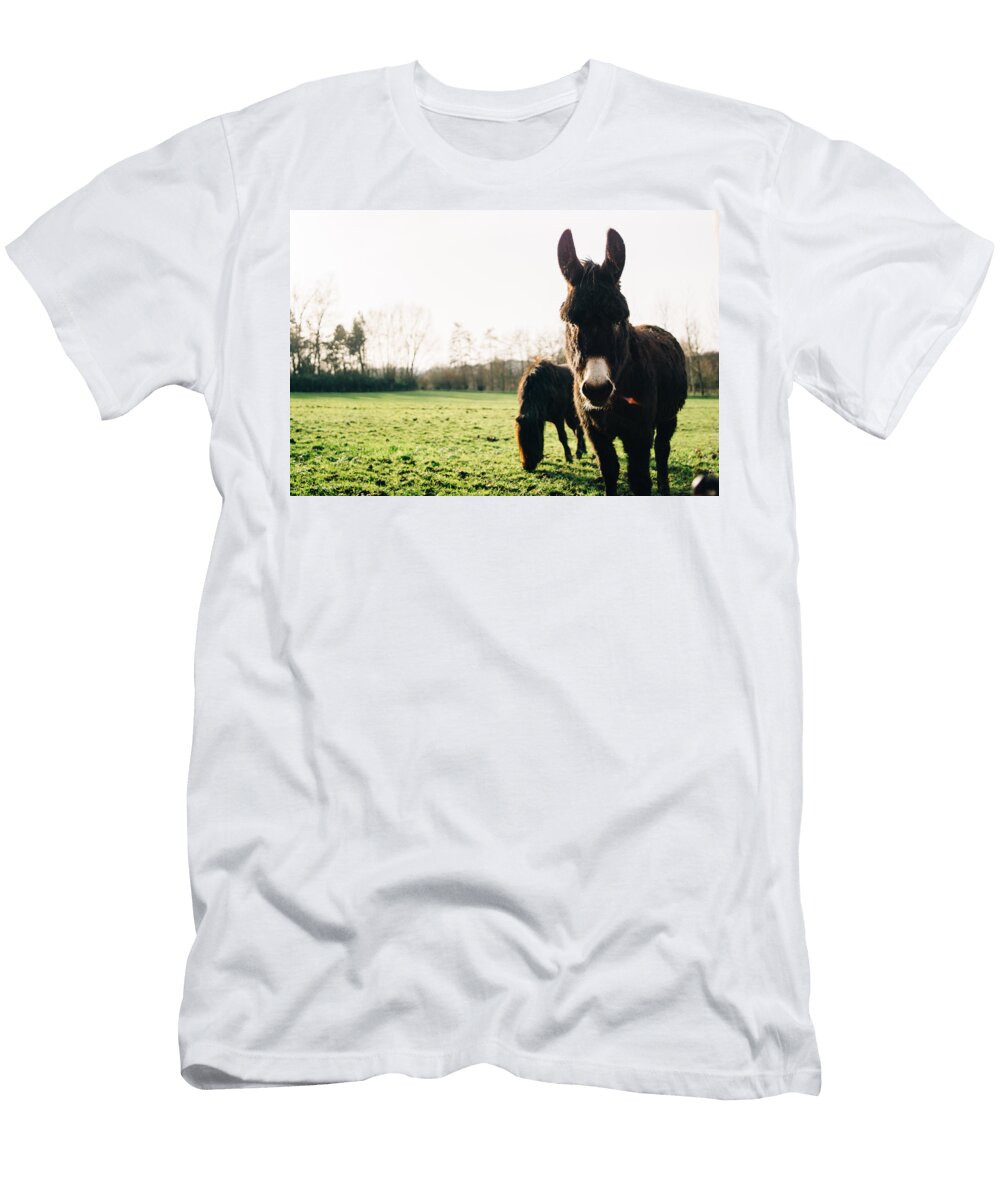 Donkey and Pony Pati Photography T-Shirt
