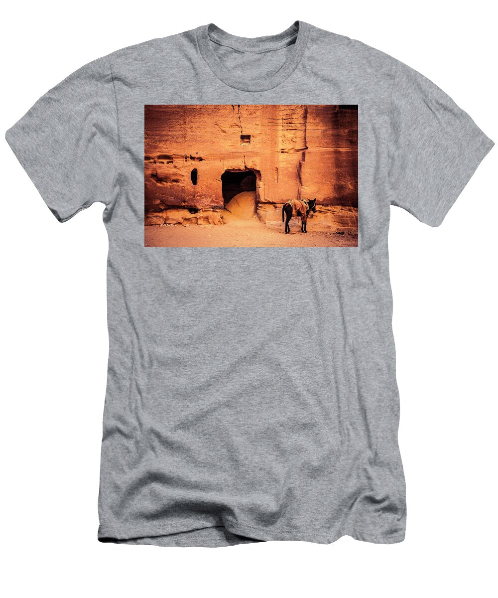Donkey and Stone Wall Tim Martin T-Shirt