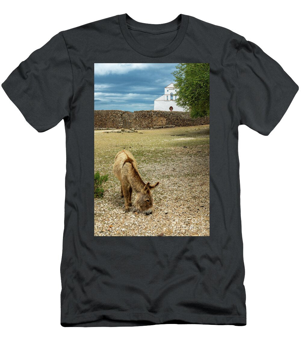 Donkey At the Church of San Pietro Sardinia Island Delphimages Photo Creations T-Shirt